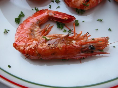 Shrimp_gamba_nature_279947_l