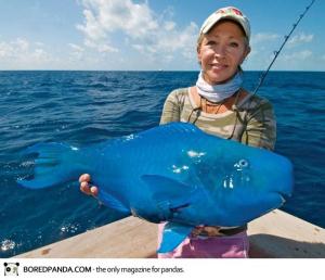 strange-animals-you-didnt-know-2-10-1